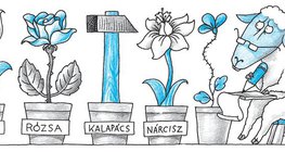 Bari is főnevekkel nevezi meg az élőlényeket, élettelen tárgyakat, elvont fogalmakat