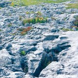 Površina prekrivena vapnencem