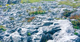 Mészköves felszín