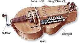 Tekerőlant (nyenyere)