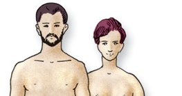 A férfi és a nő testalkata