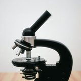Microscope