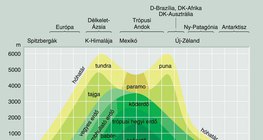 Növénytársulások a hegységekben