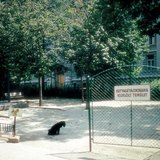 Designated walking area for dogs