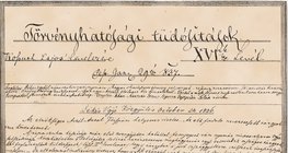 A Törvényhatósági Tudósítások egyik példánya