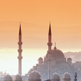 View of Istanbul with a mosque