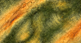 Emberi ujj bőrének redői polarizált fényben