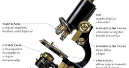 A fénymikroszkóp felépítése