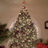 Christmas lights