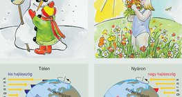 Napsugarak hajlásszöge az északi félgömbön télen és nyáron