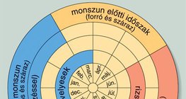 Vetési naptár monszun területekhez