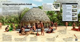 A hagyományos polinéz házak