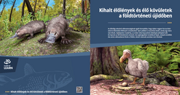 Extinct Species and Living Fossils in the Cenozoic Era