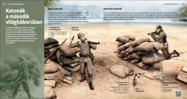 Katonák a második világháborúban (japán - amerikai)