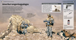 Amerikai tengerészgyalogos