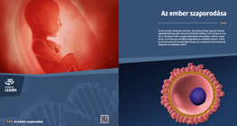 Az ember szaporodása