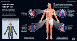 A csodálatos emberi test
