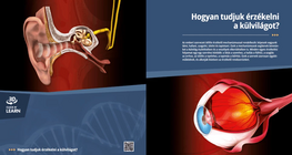 Hogyan tudjuk érzékelni a külvilágot?