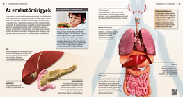 Az emésztőmirigyek