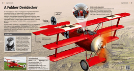 A Fokker Dreidecker