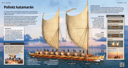 Polynesian Catamaran