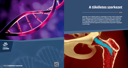 A tökéletes szerkezet