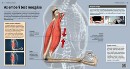 Az emberi test mozgása