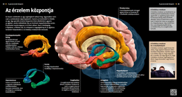 Az érzelem központja