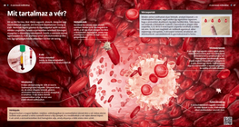 Mit tartalmaz a vér?