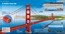 A Golden Gate híd