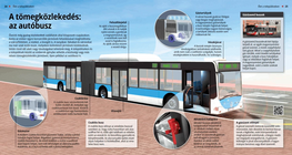 Public Transport: Buses