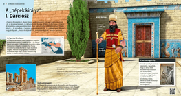 A „népek királya”: I. Dareiosz