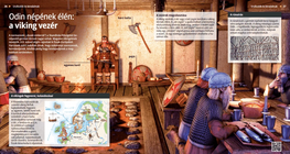 Odin népének élén: a viking vezér