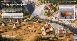 Vendégségben a varjaknál