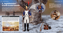 A „legyőzhetetlen” Grande Armée katonái