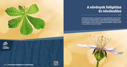 A növények felépítése és növekedése