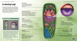 A növényi sejt