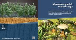 Növények és gombák sokszínű világa
