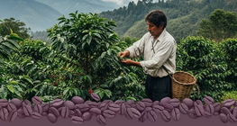 Méltányos kereskedelem