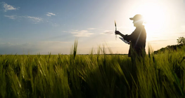 A növényvédő szerek és a műtrágyák környezeti kockázatai