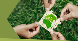 What does it mean to live sustainably?