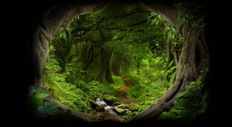 Mit rejt a dzsungel mélye?