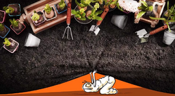 Qu'est-ce qui se passe dans le jardin ?