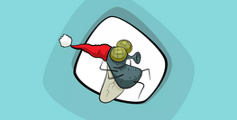 Gdje nestanu muhe zimi?