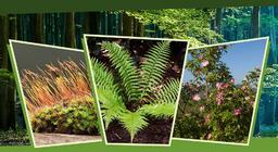 Fényben és árnyékban