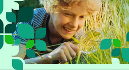 La flore et la faune des plaines