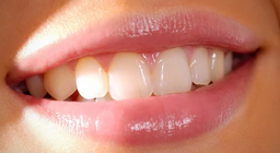 Que savons-nous des dents ?