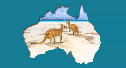 Környezeti problémák a kenguruk földjén