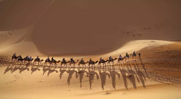 Csatlakozol a karavánhoz?