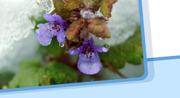 Halmazállapot, halmazállapot-változás